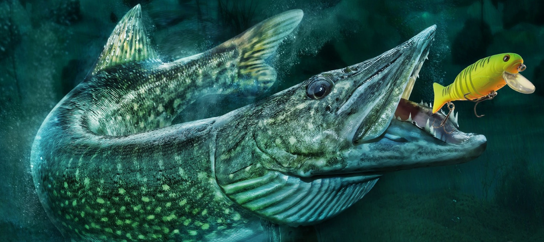 Камеры для рыбалки