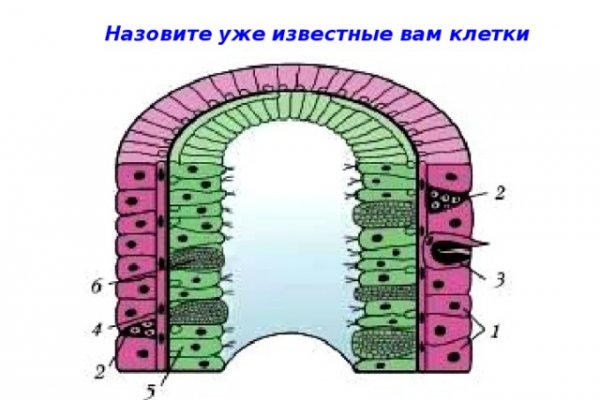 Что такое кракен 2024 маркетплейс